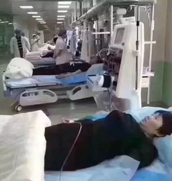 权.健血液净化器震撼上市 两小时还你一个健康干净的血液
