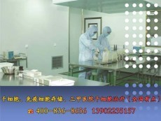 肺部肿瘤概述及肿瘤医院的选择